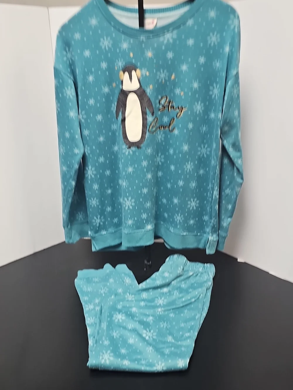 Secret Treasures Teal Snowflake Penguin Pajama Set